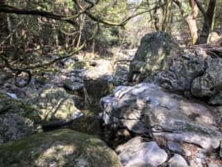 若杉山遺跡