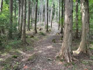 赤帽子山・中尾山