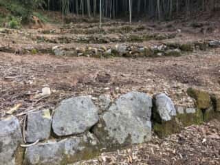 竹ヶ島 七段の聖地