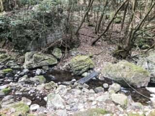 若杉山遺跡への山道