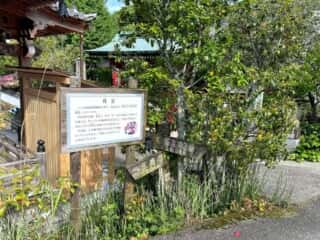四国八十八ヶ所霊場 第65番札所 三角寺〜第66番札所 雲辺寺