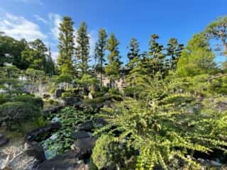 四国八十八ヶ所霊場 第3番札所 金泉寺
