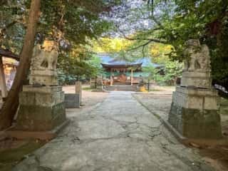 八倉比賣神社