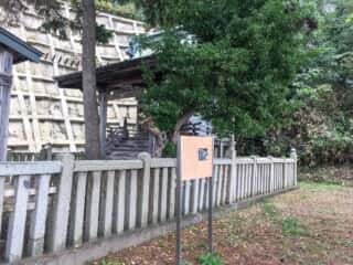 白八幡宮　境内