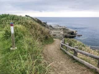 かもめ島の散歩道