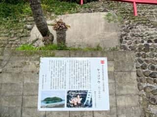 種子島 浦田神社