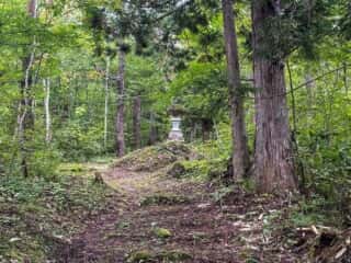 一年峰への山道