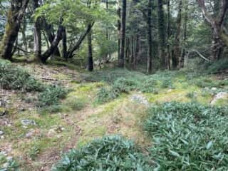 白髪山・平和丸