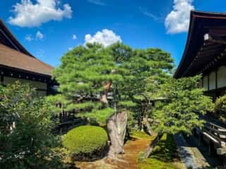 大覚寺　宸殿前庭