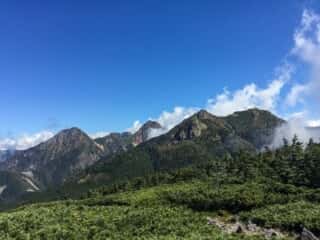 権現岳登山道