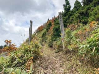 赤神神社奥宮への道