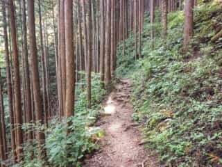 山上ヶ岳（大峯山）登山道