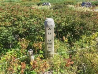 室堂登山道