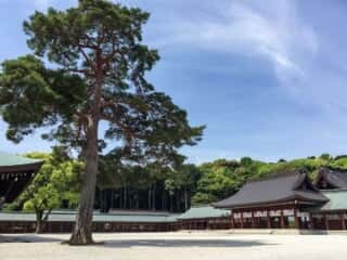 内拝殿と廻廊　橿原神宮