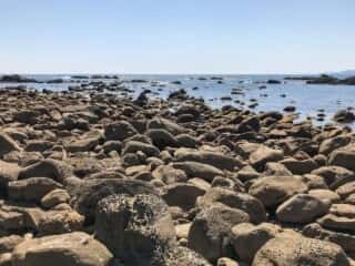 海岸の岩場