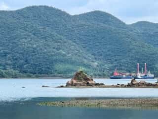 奄美大島 久場立神 千年松跡地