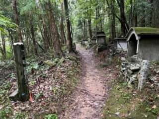 四国八十八ヶ所霊場 第11番札所 藤井寺〜第12番札所 焼山寺