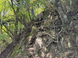 四国八十八ヶ所霊場 第87番札所 長尾寺〜第88番札所 大窪寺