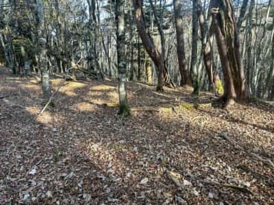 寒峰・烏帽子山