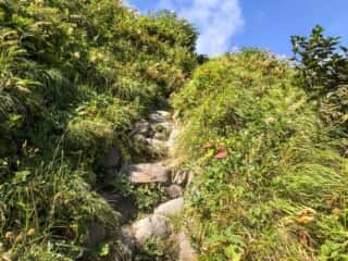 摩周岳登山道