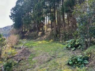 四国八十八ヶ所霊場 第38番札所 金剛福寺～第39番札所 延光寺