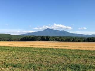 羅臼岳を望む