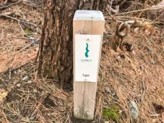 石投山 黒森山 登山道