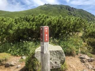 羅臼岳登山道