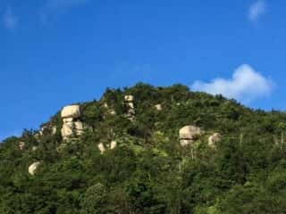 頂上周辺の岩石