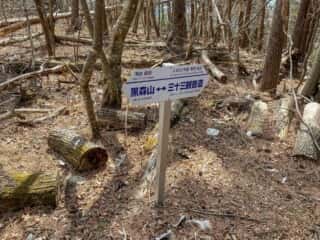 石投山 黒森山 登山道