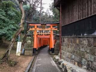 伏見稲荷大社　千本鳥居