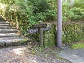 大山登山道