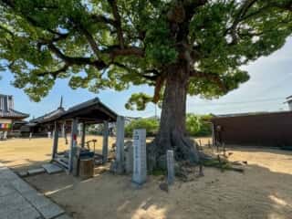 四国八十八ヶ所霊場 第87番札所 長尾寺