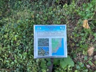 室戸岬ジオパーク