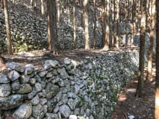 若杉山遺跡