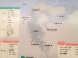 八幡地域 古代の海岸線