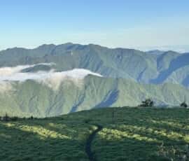 丸笹山