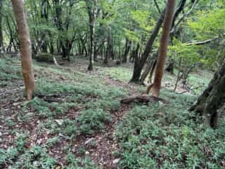 矢筈山・石堂山