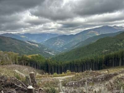 土佐矢筈山・小桧曽山