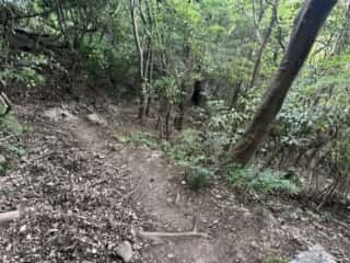 四国八十八ヶ所霊場 第84番札所 屋島寺〜第85番札所 八栗寺