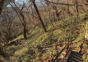 駒ケ岳 登山道