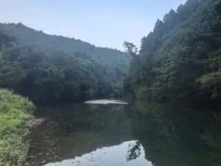 もみじ川