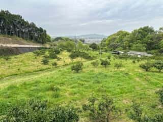 四国八十八ヶ所霊場 第57番札所 栄福寺〜第58番札所 仙遊寺