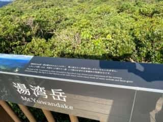 奄美大島 湯湾岳