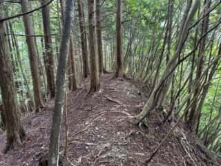 矢筈山・石堂山
