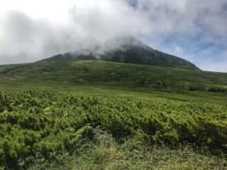 羅臼岳登山道