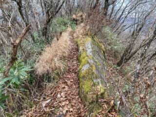 石上山 巨石群