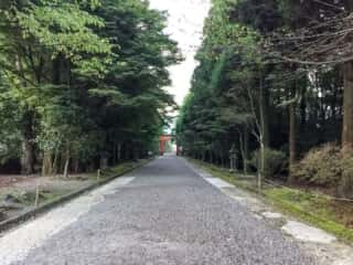 霧島神宮　表参道と二の鳥居