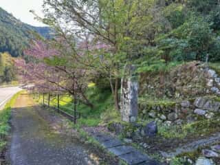 伊代大洲駅〜四国八十八ヶ所霊場 第44番札所 大寶寺