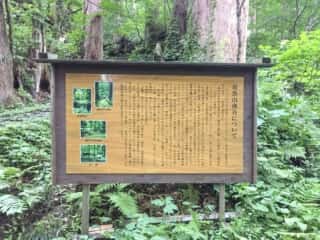 羽黒山南谷について